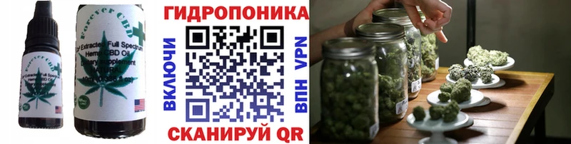Cannafood марихуана  hydra маркетплейс  Кашира  наркотики 