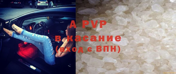 spice Богданович