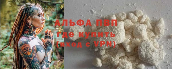 гидропоника Белокуриха
