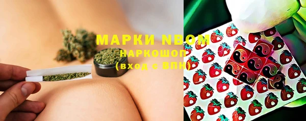 spice Богданович