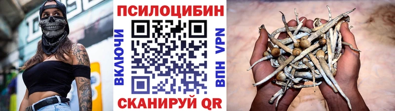 Галлюциногенные грибы Magic Shrooms  Кашира 